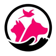 Support Voiceless