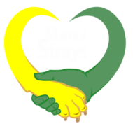 Manali Strays